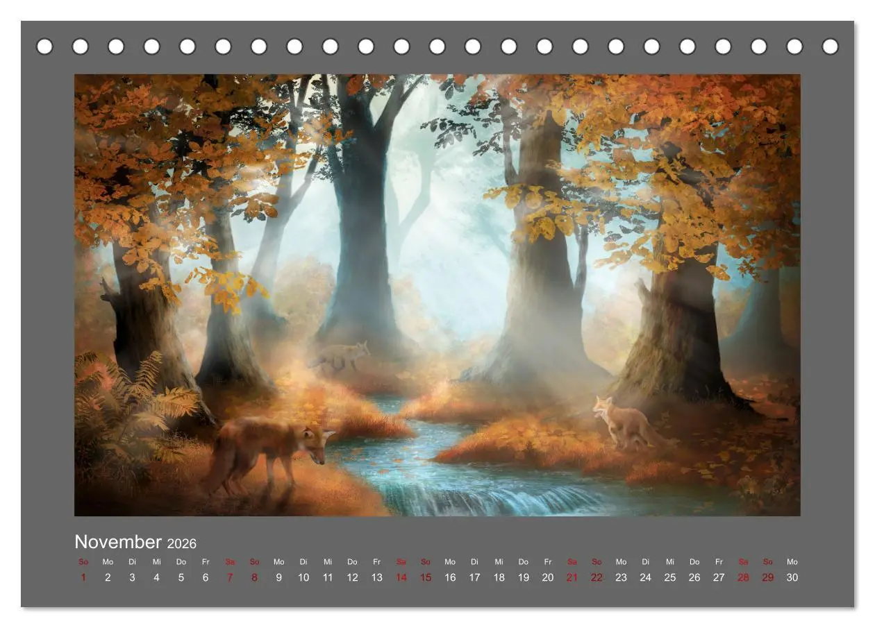 Bild: 9783457544747 | Geheimnisse des alten Waldes (Tischkalender 2026 DIN A5 quer),...