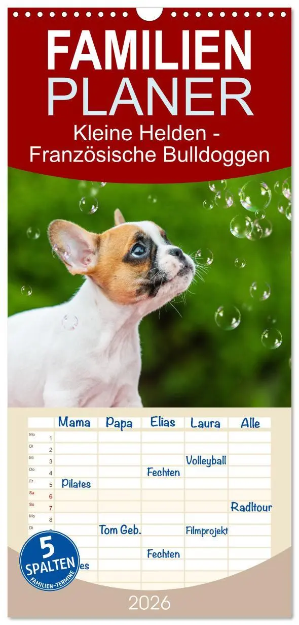 Cover: 9783516494747 | Familienplaner 2026 - Kleine Helden - Französische Bulldoggen mit 5...