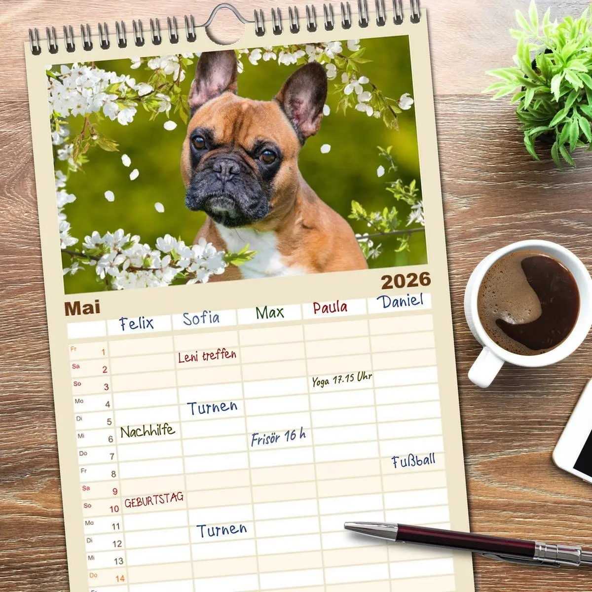 Bild: 9783516494747 | Familienplaner 2026 - Kleine Helden - Französische Bulldoggen mit 5...