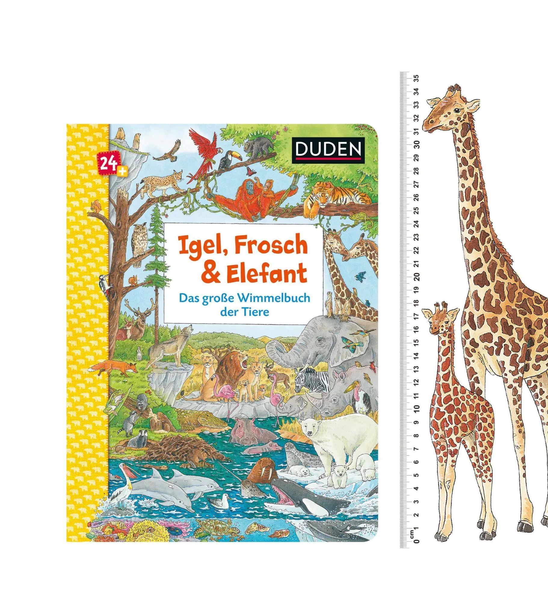 Bild: 9783737334747 | Duden 24+: Igel, Frosch &amp; Elefant: Das große Wimmelbuch der Tiere