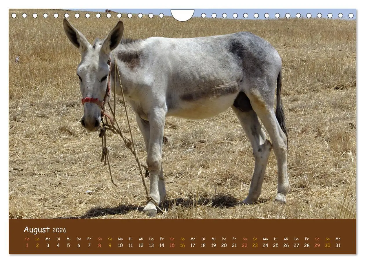 Bild: 9783457604847 | Extremadura Spanien (Wandkalender 2026 DIN A4 quer), CALVENDO...