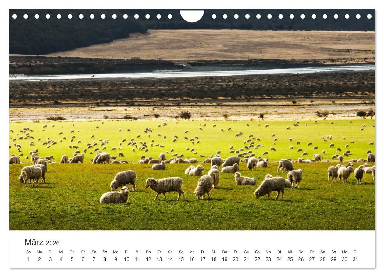 Bild: 9783457914847 | Naturschauspiel Neuseeland (Wandkalender 2026 DIN A4 quer),...