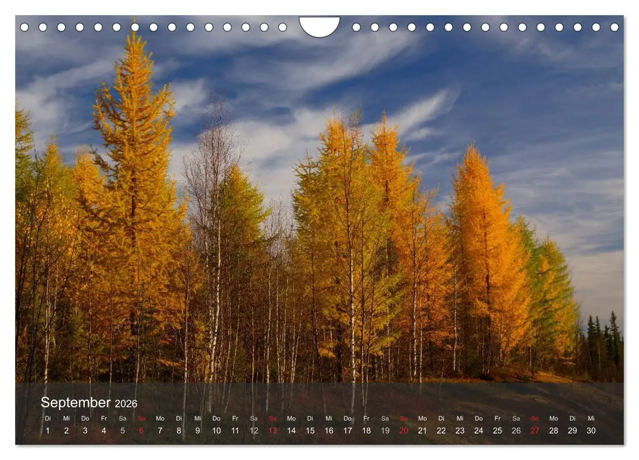 Bild: 9783516174847 | Lappland 2026 (Wandkalender 2026 DIN A4 quer), CALVENDO Monatskalender