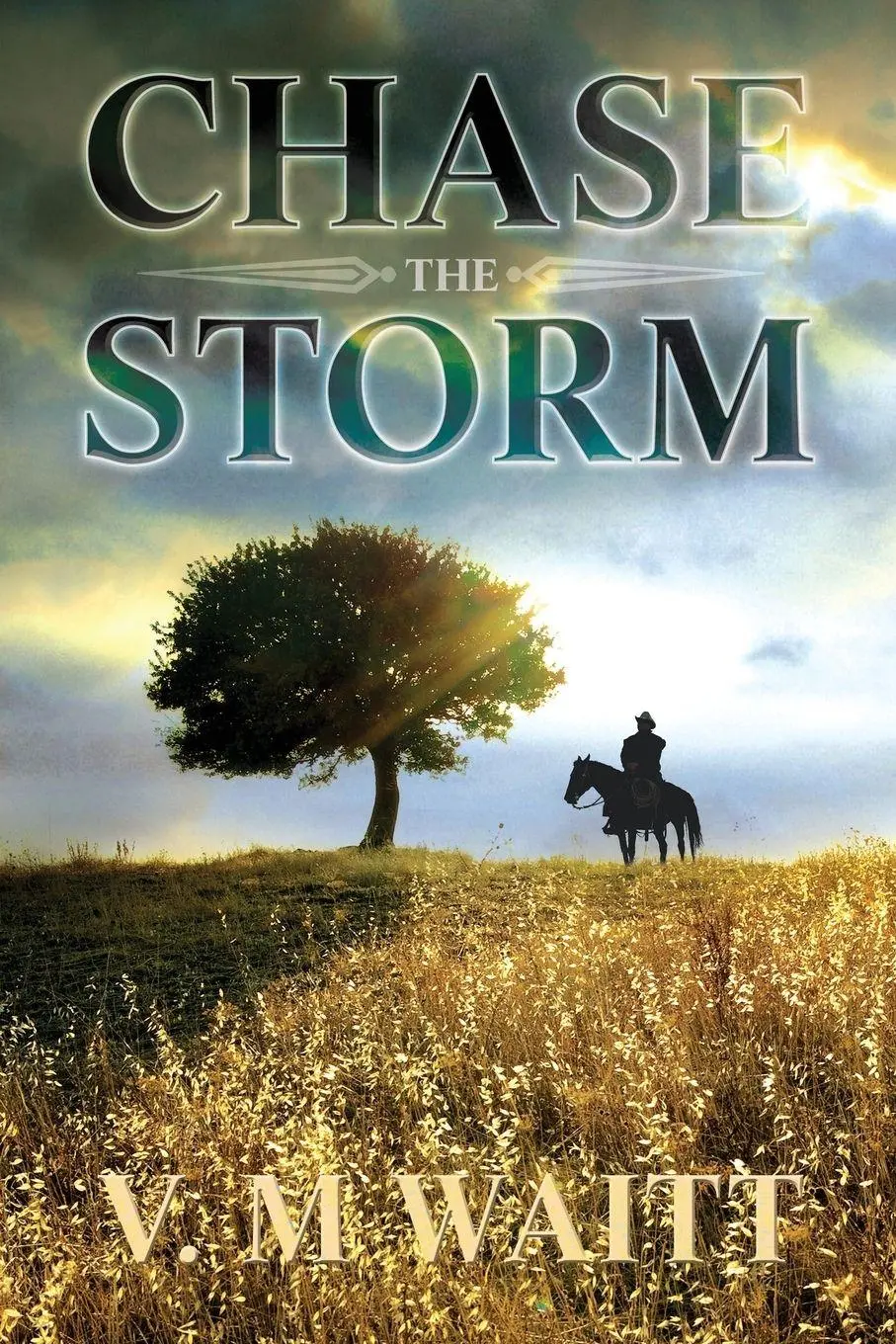 Cover: 9781623804947 | Chase the Storm | V. M Waitt | Taschenbuch | Kartoniert / Broschiert