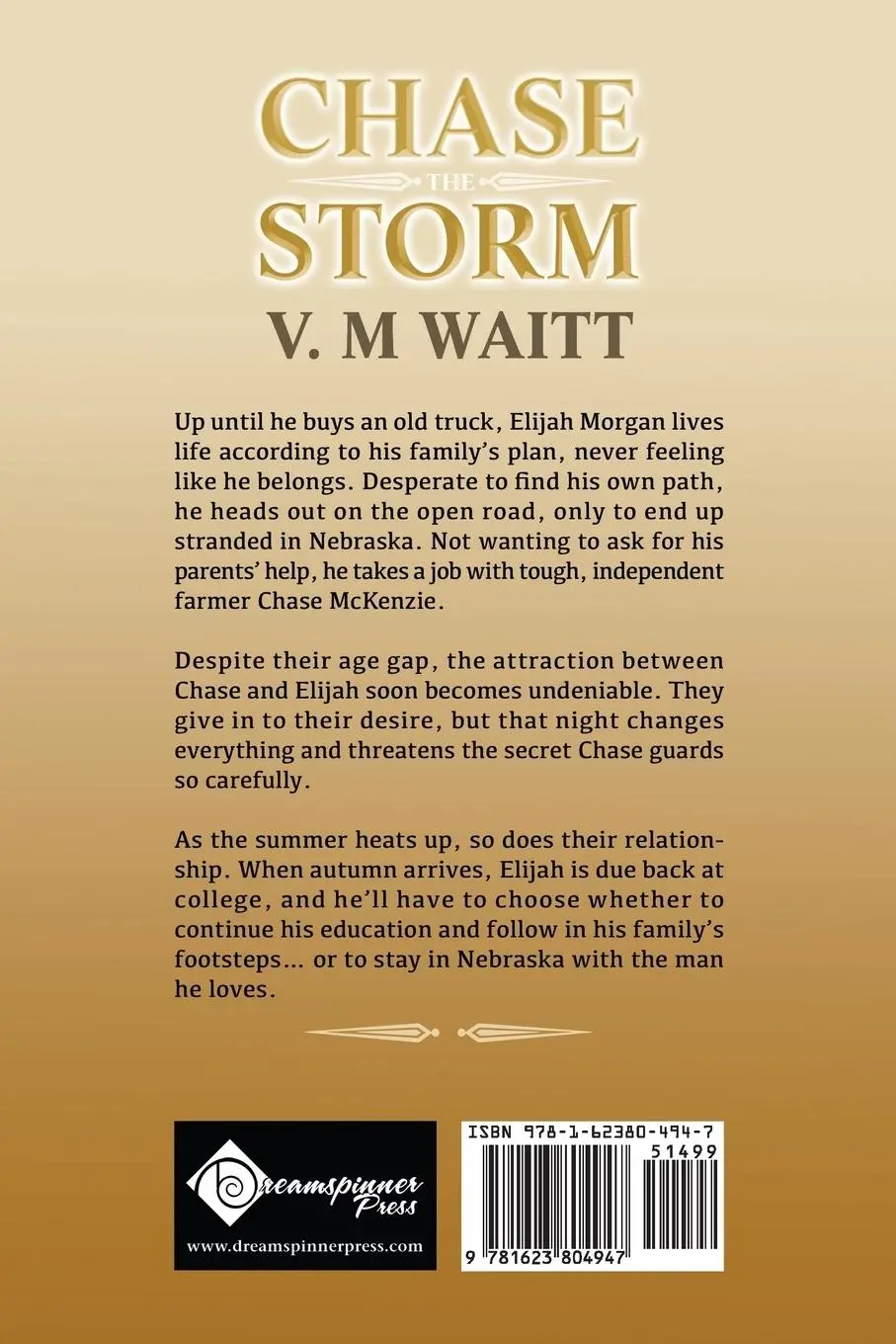 Rückseite: 9781623804947 | Chase the Storm | V. M Waitt | Taschenbuch | Kartoniert / Broschiert