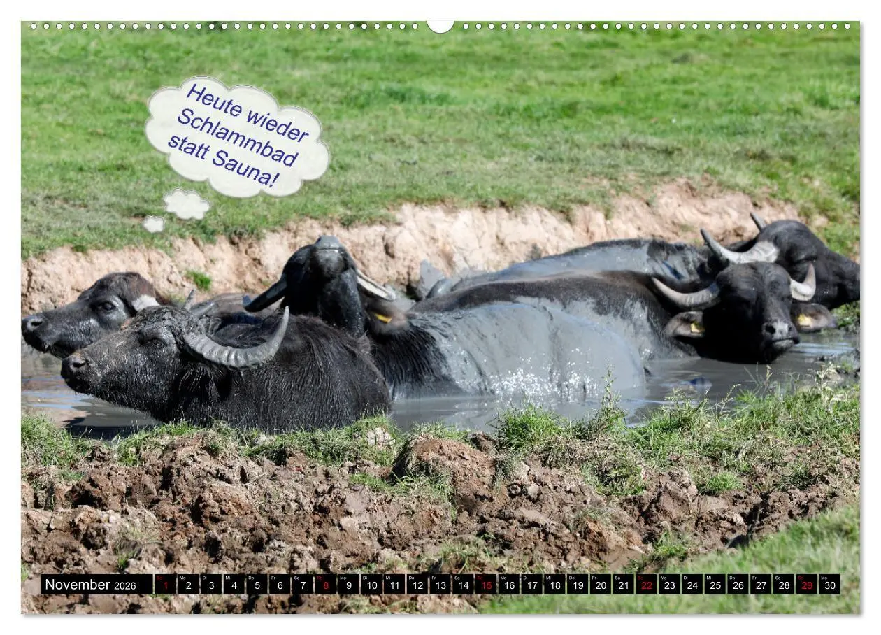 Bild: 9783457454947 | Wenn Tiere sprechen könnten! Der lustige Sprüche Kalender...