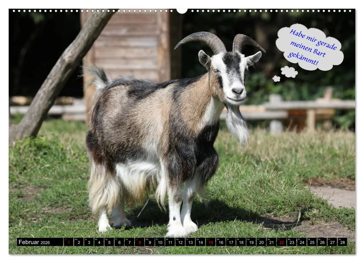 Bild: 9783457454947 | Wenn Tiere sprechen könnten! Der lustige Sprüche Kalender...