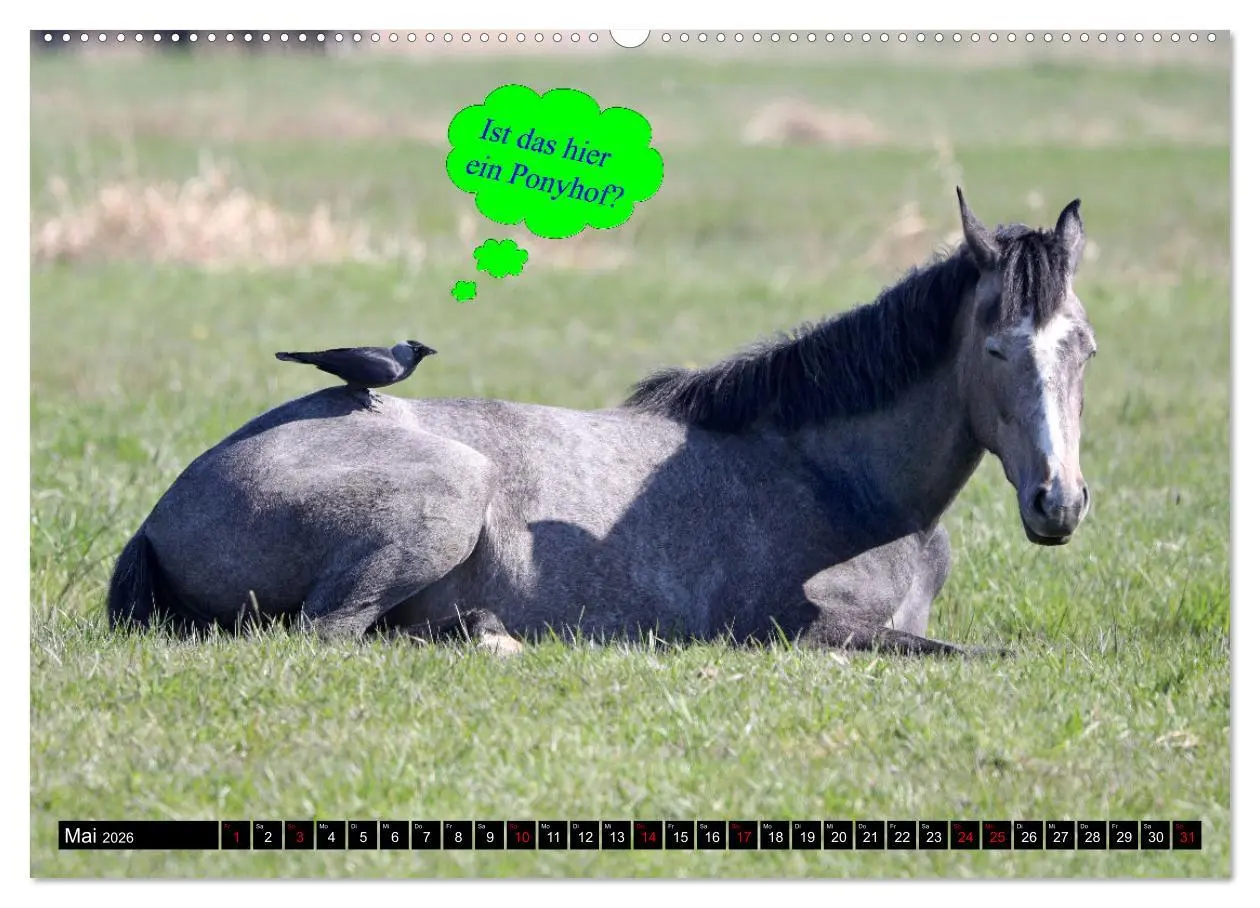 Bild: 9783457454947 | Wenn Tiere sprechen könnten! Der lustige Sprüche Kalender...