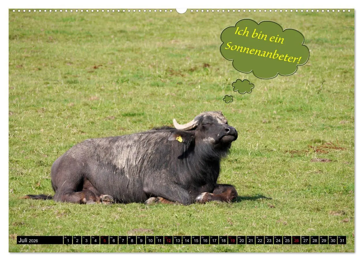 Bild: 9783457454947 | Wenn Tiere sprechen könnten! Der lustige Sprüche Kalender...