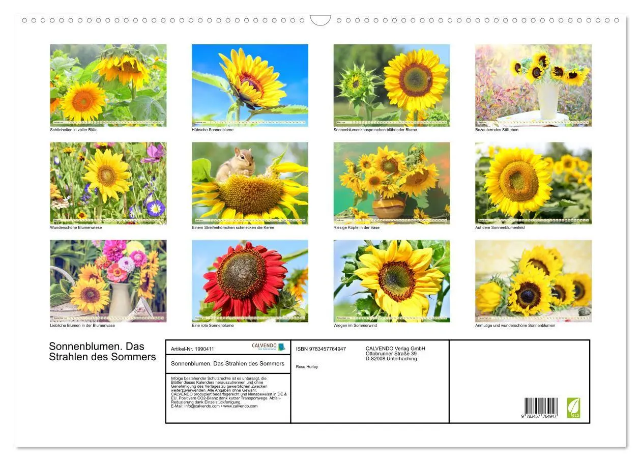 Bild: 9783457764947 | Sonnenblumen. Das Strahlen des Sommers (Wandkalender 2026 DIN A2...