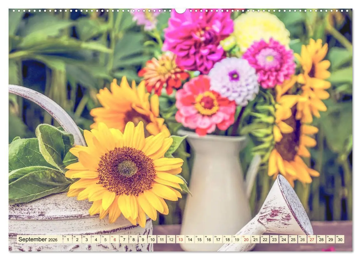 Bild: 9783457764947 | Sonnenblumen. Das Strahlen des Sommers (Wandkalender 2026 DIN A2...