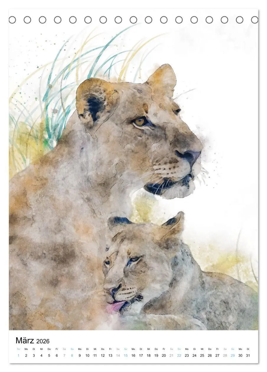 Bild: 9783516365047 | Afrikas Tierwelt - wie gemalt (Tischkalender 2026 DIN A5 hoch),...