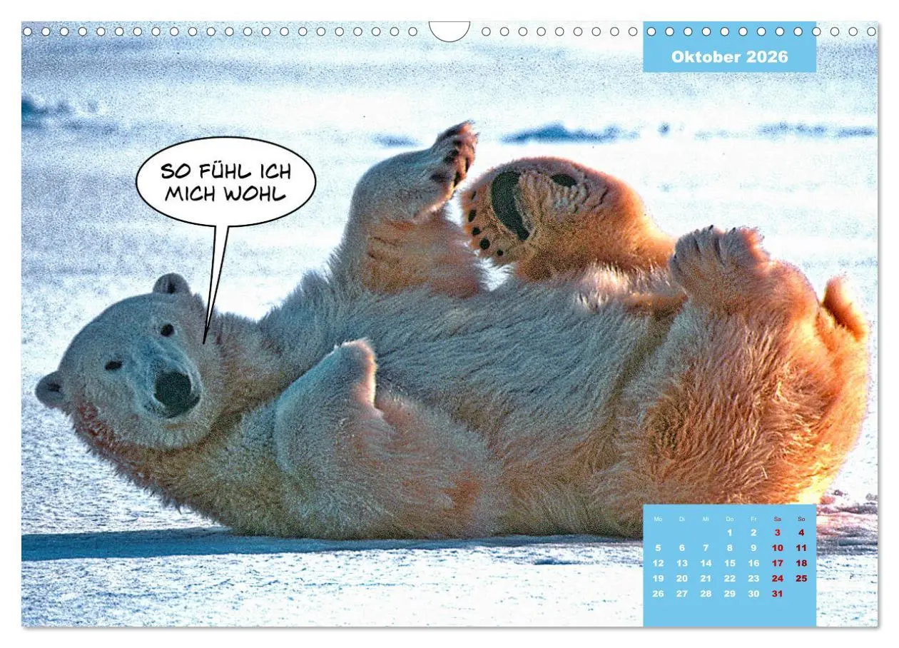 Bild: 9783457715147 | Lustige Eisbären (Wandkalender 2026 DIN A3 quer), CALVENDO...