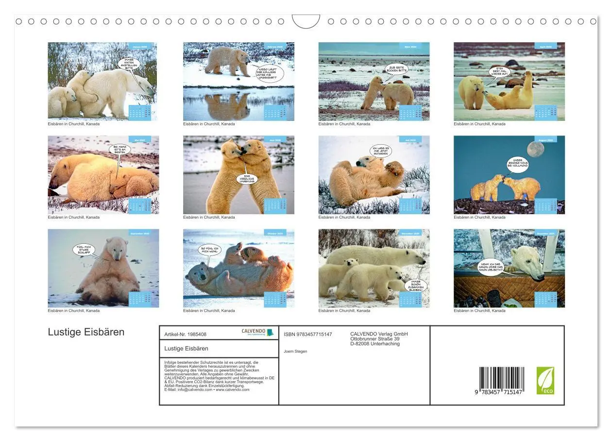 Bild: 9783457715147 | Lustige Eisbären (Wandkalender 2026 DIN A3 quer), CALVENDO...
