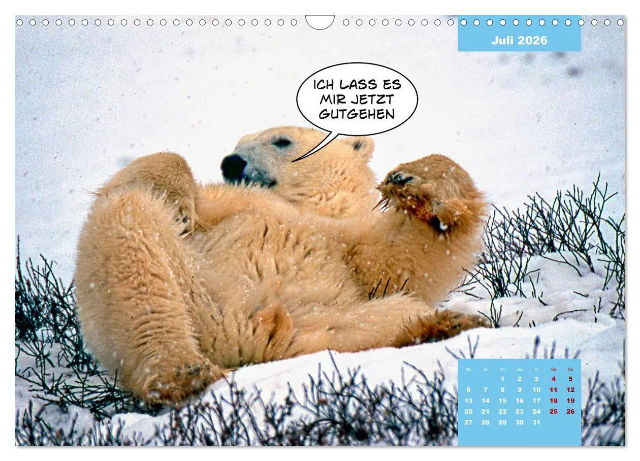 Bild: 9783457715147 | Lustige Eisbären (Wandkalender 2026 DIN A3 quer), CALVENDO...