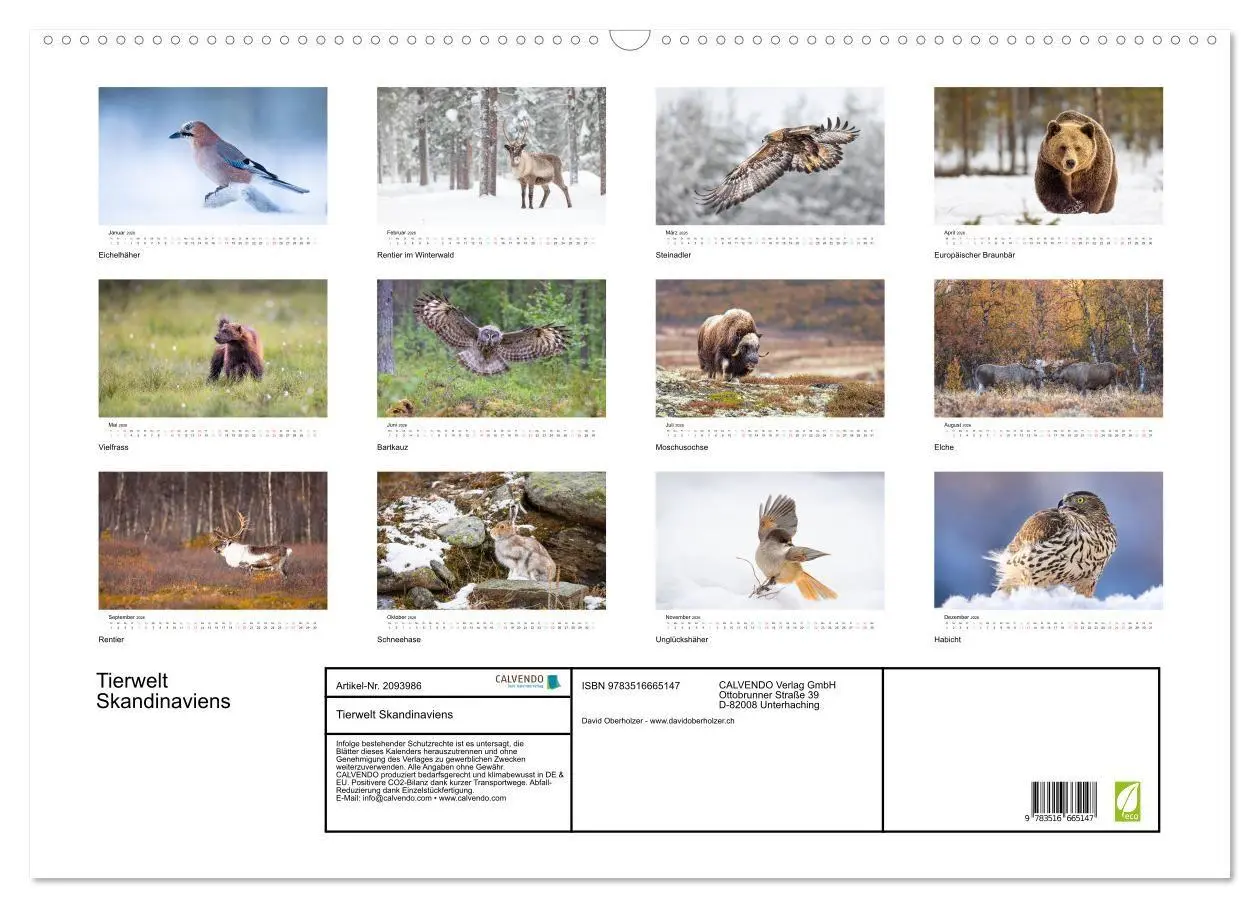 Bild: 9783516665147 | Tierwelt Skandinaviens (Wandkalender 2026 DIN A2 quer), CALVENDO...