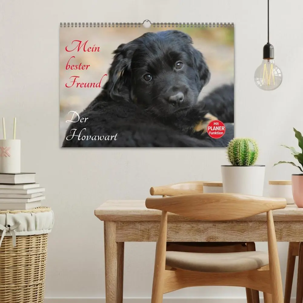 Bild: 9783435545247 | Mein bester Freund - Der Hovawart (Wandkalender 2025 DIN A3 quer),...