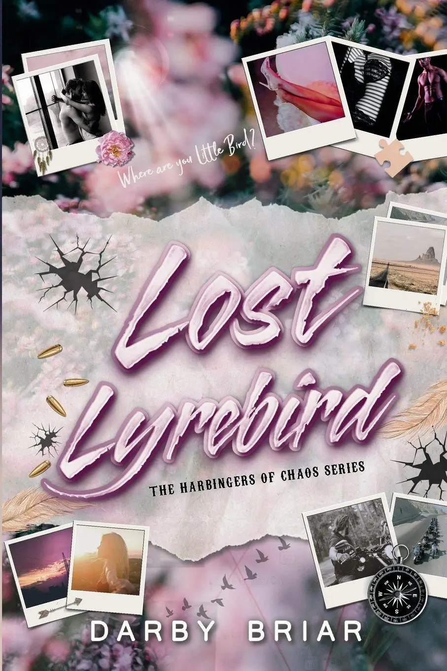 Cover: 9780996655347 | Lost Lyrebird | Darby Briar | Taschenbuch | Englisch | 2025