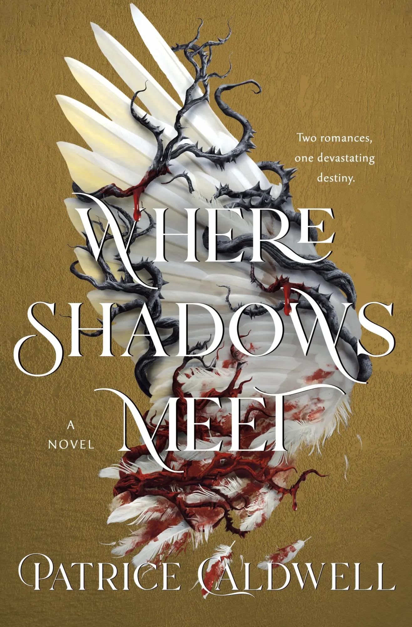 Cover: 9781250815347 | Where Shadows Meet | Patrice Caldwell | Buch | Englisch | 2025