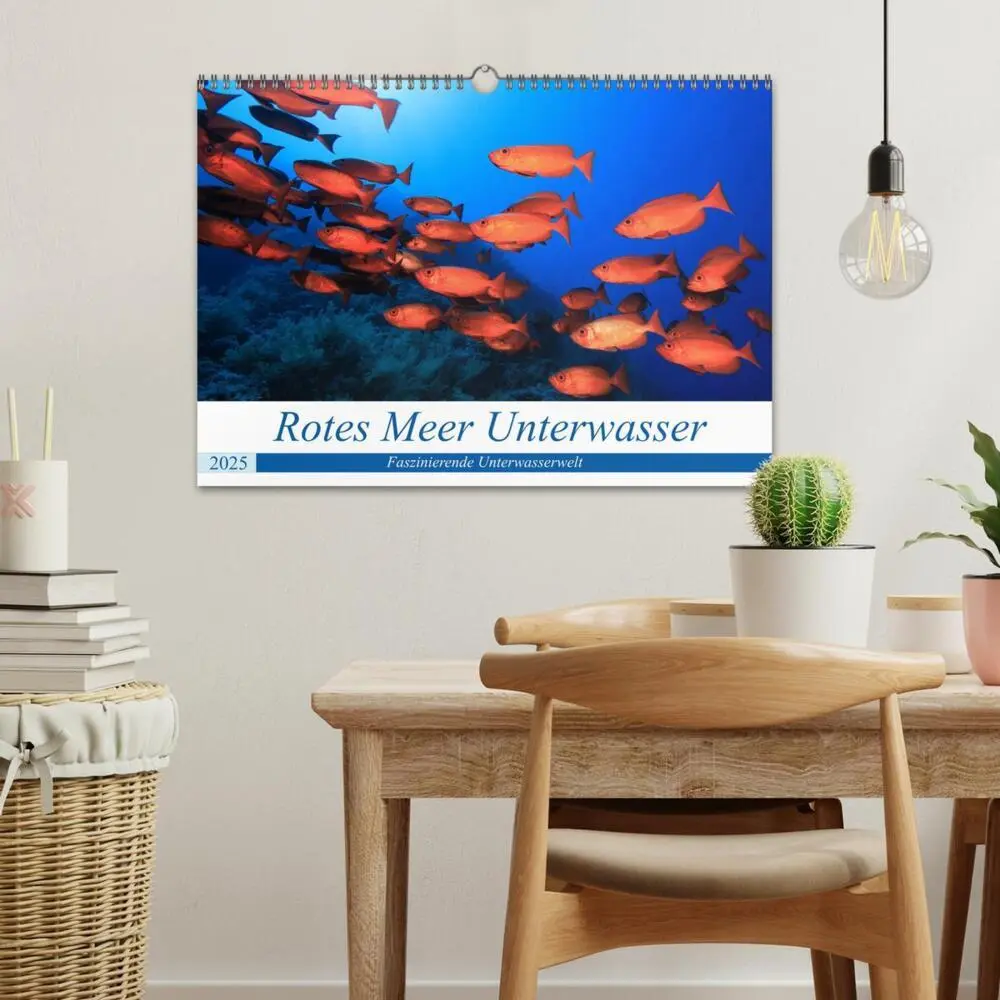 Bild: 9783435155347 | Rotes Meer Unterwasser (Wandkalender 2025 DIN A3 quer), CALVENDO...
