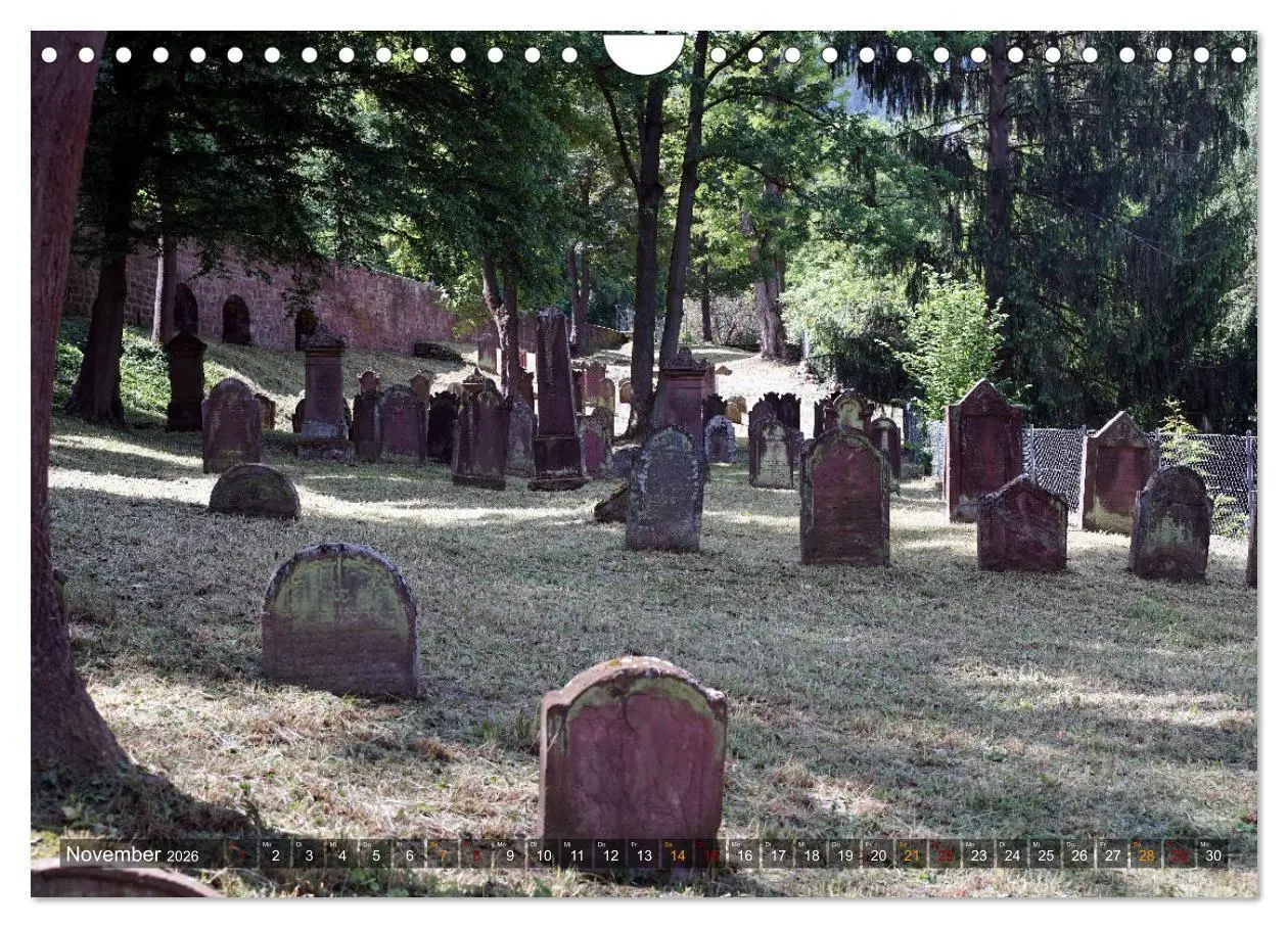 Bild: 9783457865347 | Miltenberg am Main (Wandkalender 2026 DIN A4 quer), CALVENDO...