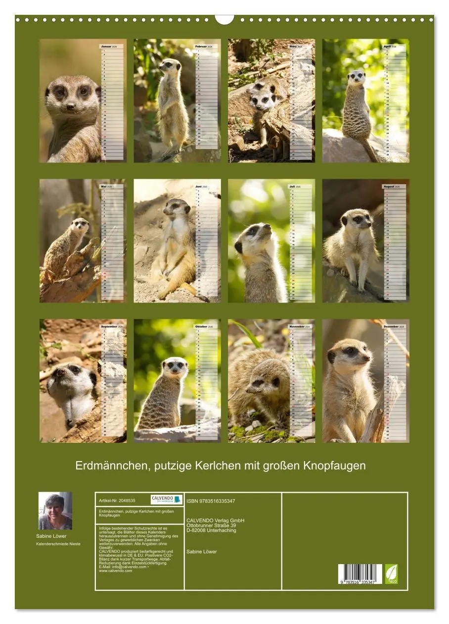 Bild: 9783516335347 | Erdmännchen, putzige Kerlchen mit großen Knopfaugen (Wandkalender...