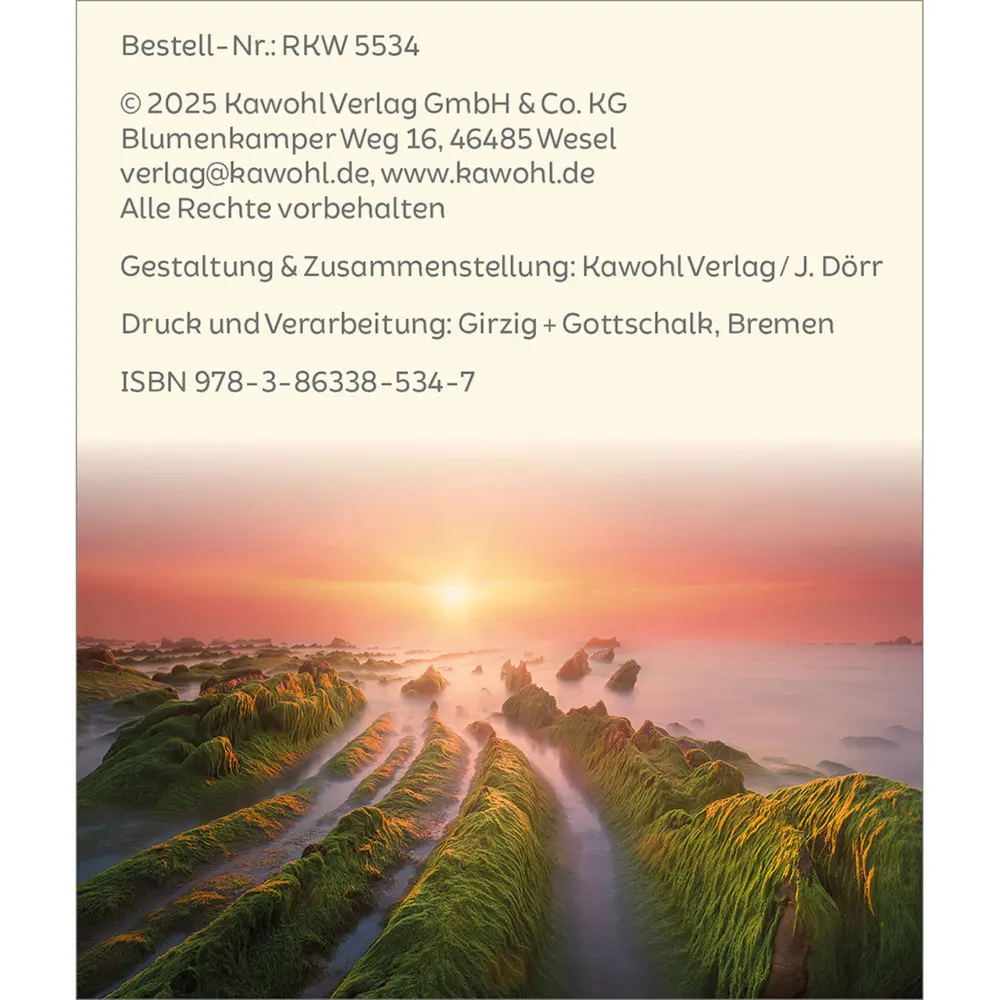 Bild: 9783863385347 | Du fehlst in meinem Leben | Trauer und Hoffnung | Doro Zachmann | 2025