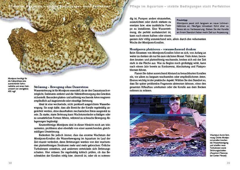 Bild: 9783866595347 | Montipora-Steinkorallen im Meerwasseraquarium | Pflege und Vermehrung