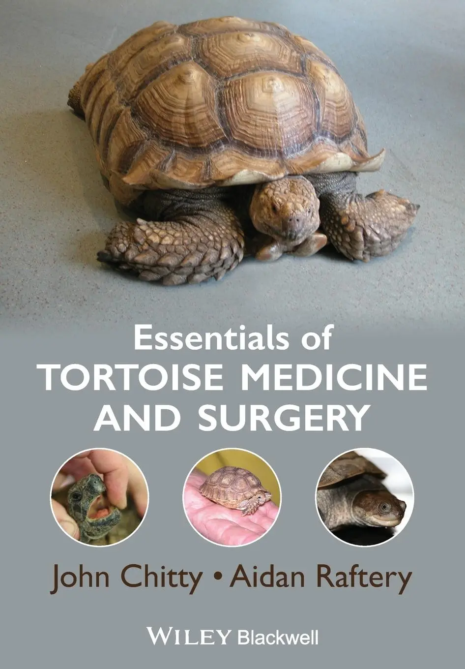 Cover: 9781405195447 | Essentials of Tortoise Medicine and Surgery | John Chitty (u. a.)