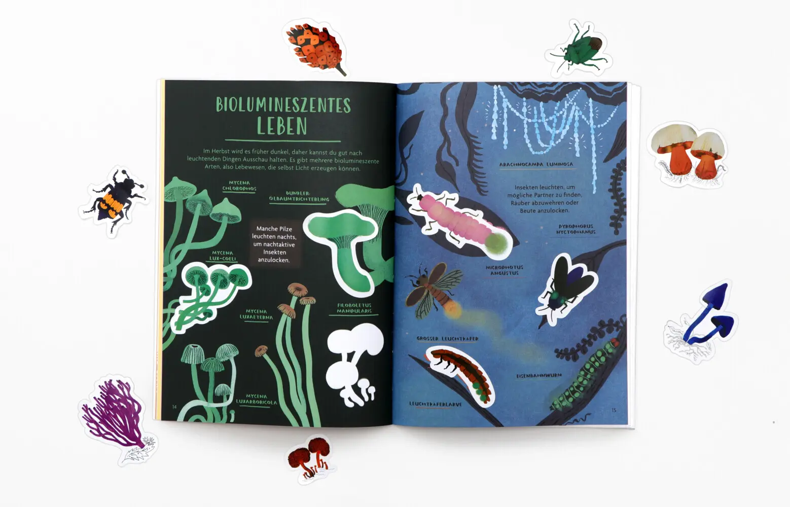 Bild: 9783962445447 | Hallo Herbst! | Nina Chakrabarti | Taschenbuch | 30 S. | Deutsch