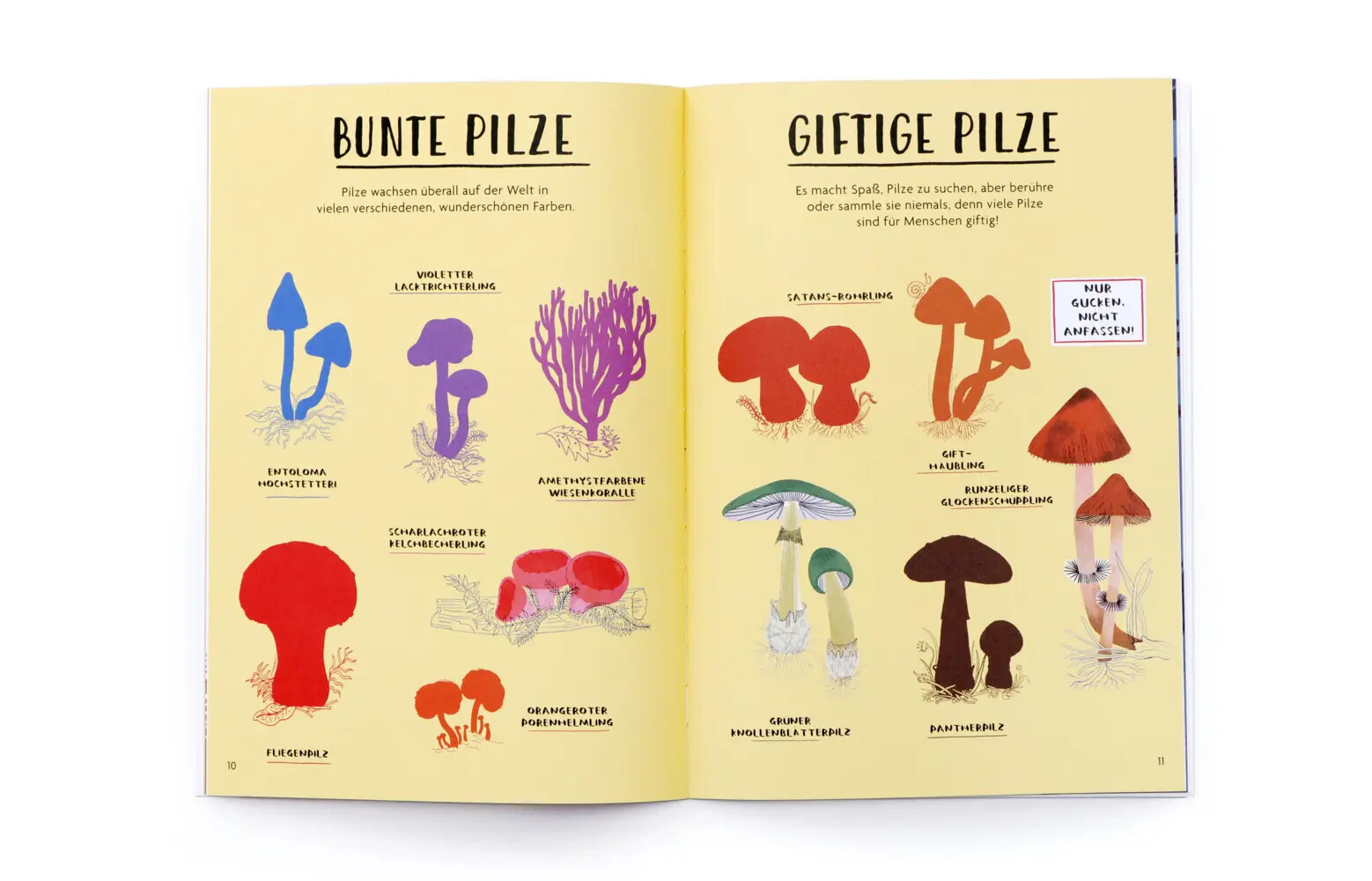 Bild: 9783962445447 | Hallo Herbst! | Nina Chakrabarti | Taschenbuch | 30 S. | Deutsch