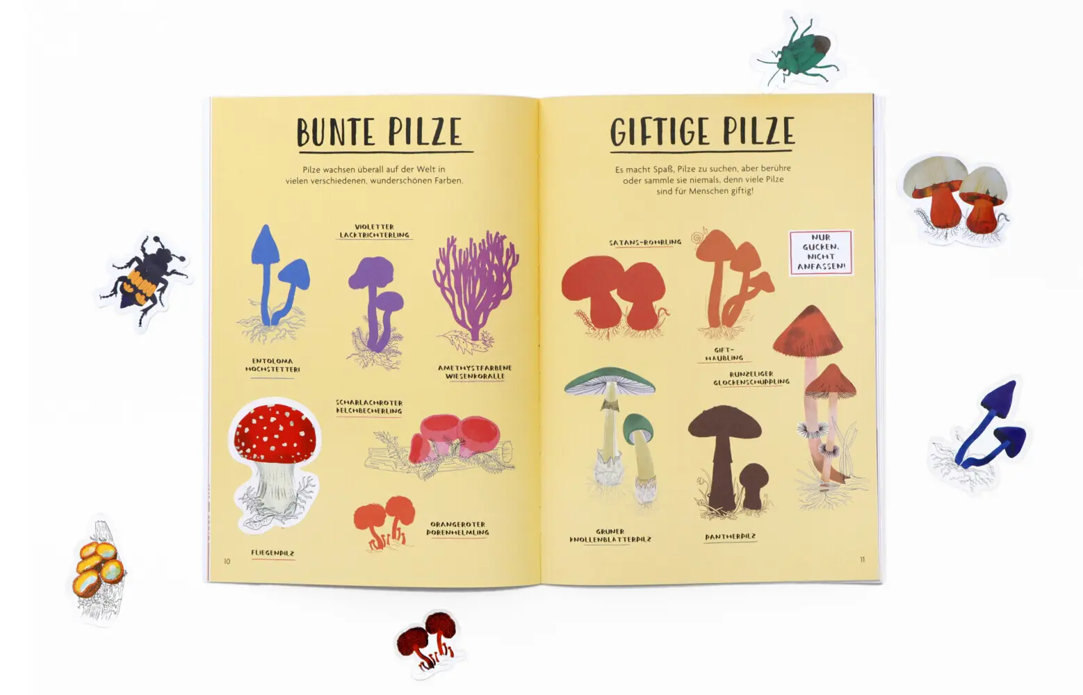 Bild: 9783962445447 | Hallo Herbst! | Nina Chakrabarti | Taschenbuch | 30 S. | Deutsch