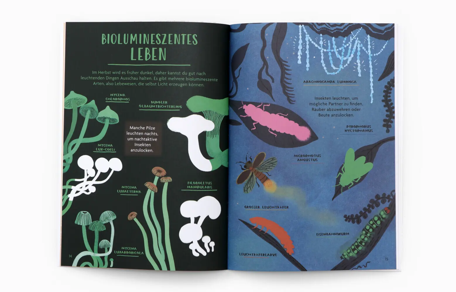 Bild: 9783962445447 | Hallo Herbst! | Nina Chakrabarti | Taschenbuch | 30 S. | Deutsch
