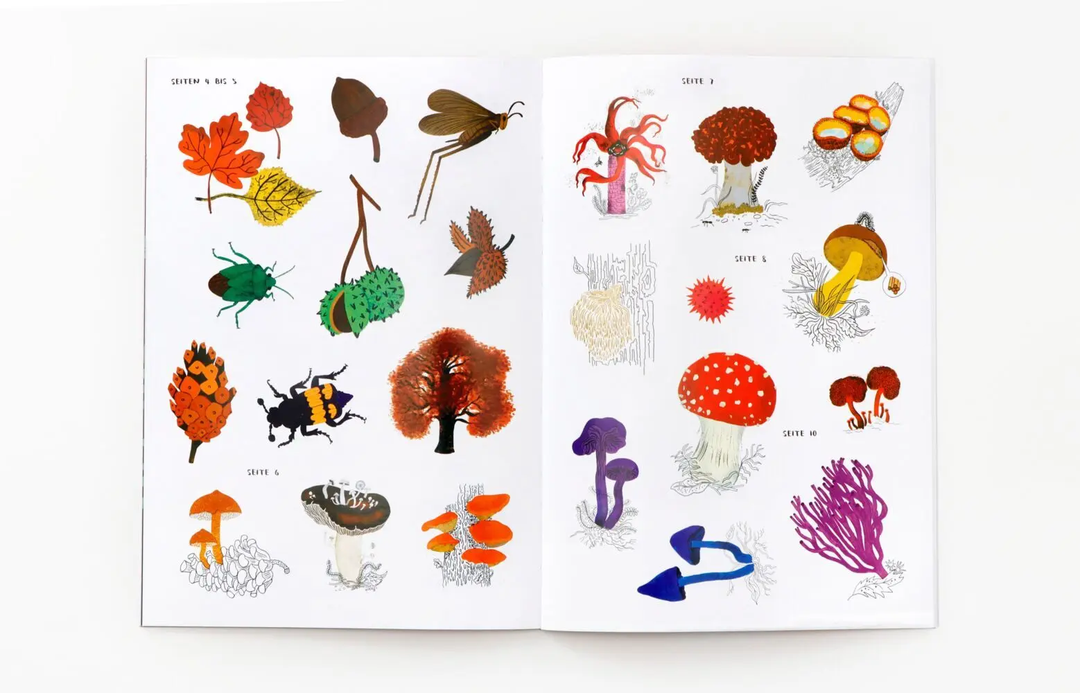 Bild: 9783962445447 | Hallo Herbst! | Nina Chakrabarti | Taschenbuch | 30 S. | Deutsch