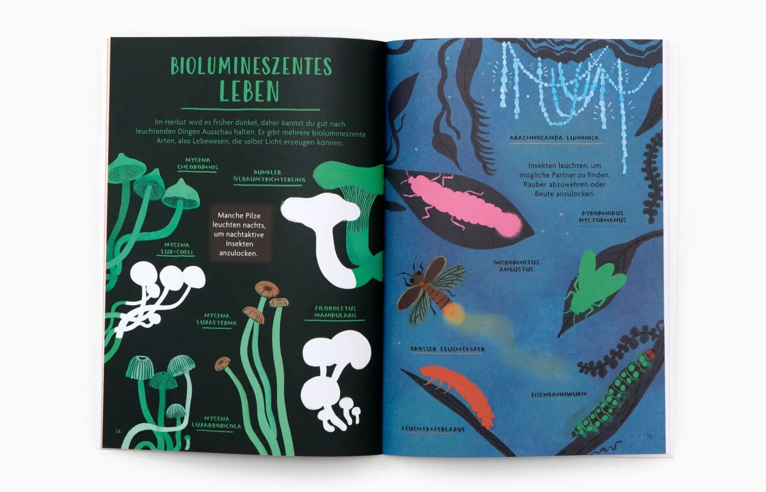Bild: 9783962445447 | Hallo Herbst! | Nina Chakrabarti | Taschenbuch | 30 S. | Deutsch