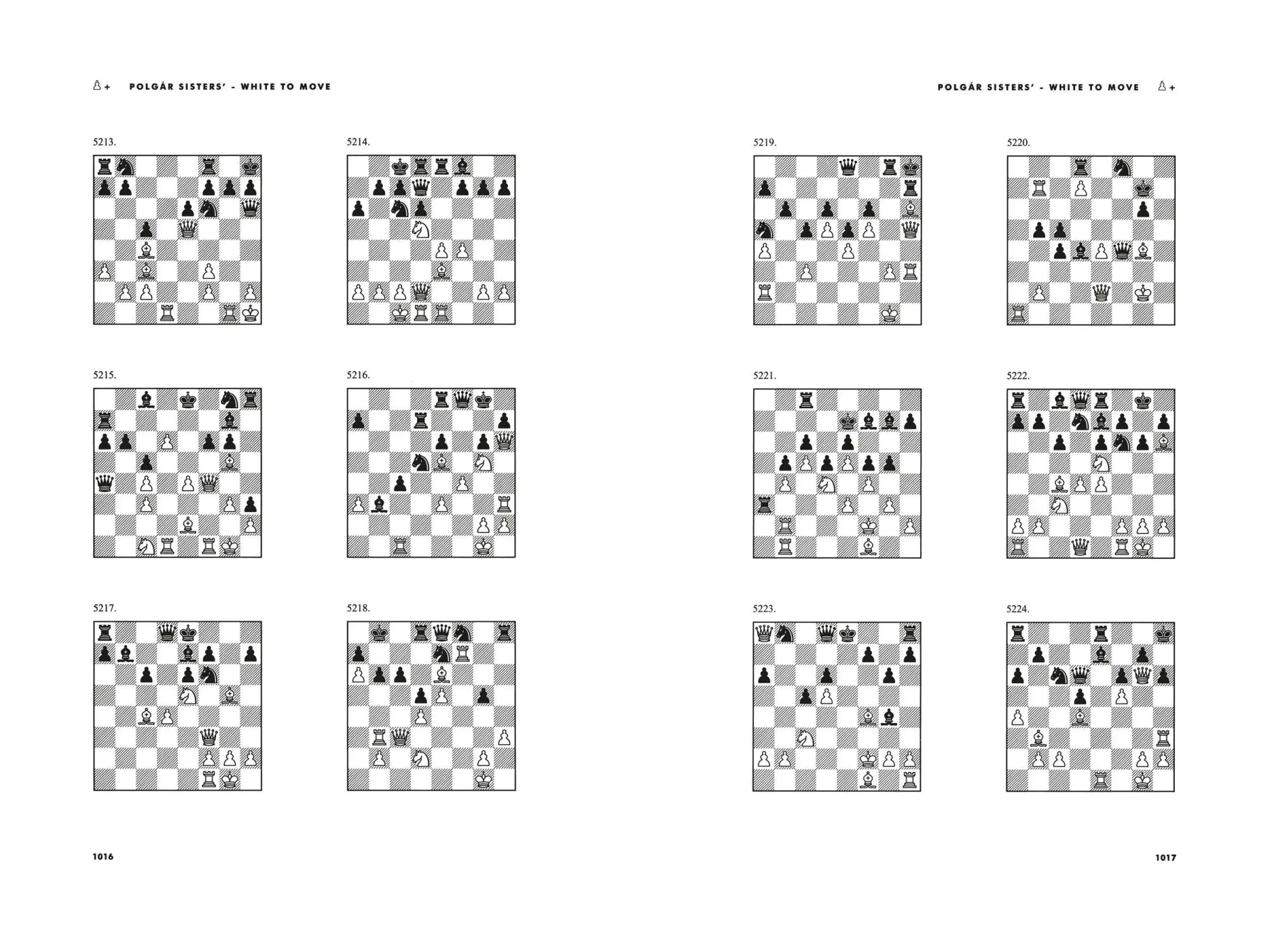 Bild: 9781579125547 | Chess | 5334 Problems, Combinations and Games | László Polgár | Buch