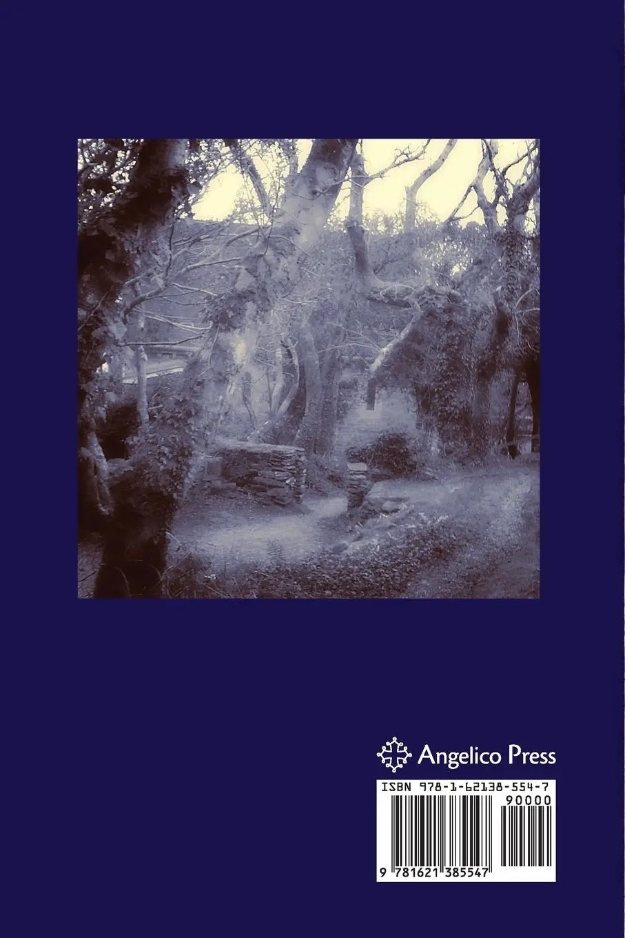 Rückseite: 9781621385547 | Jesus the Imagination | Michael Martin | Taschenbuch | Englisch | 2020