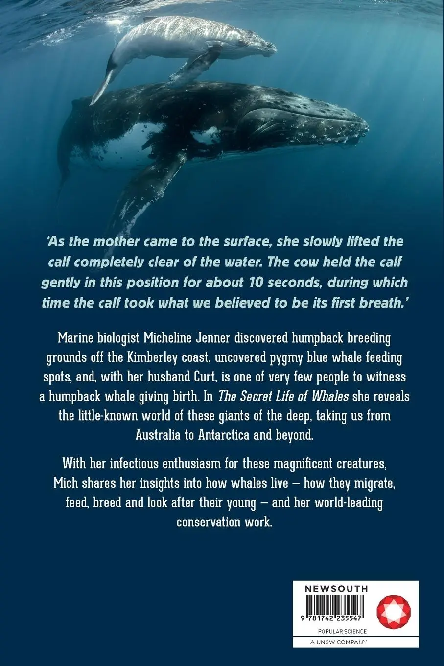 Rückseite: 9781742235547 | The Secret Life of Whales | Micheline Jenner | Taschenbuch | Englisch