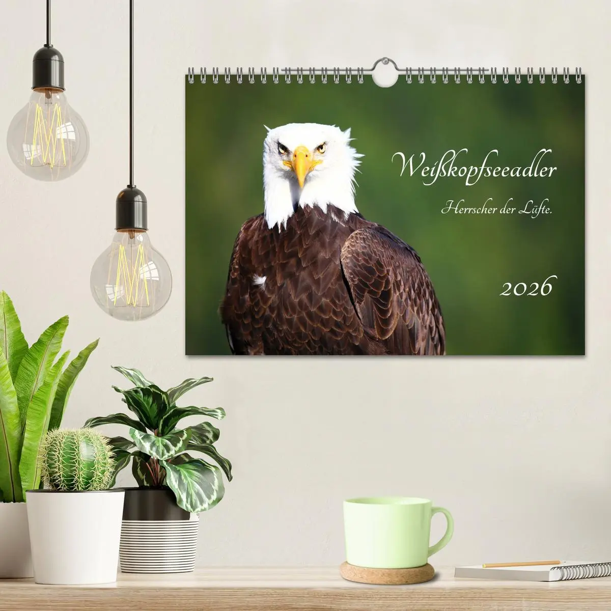 Bild: 9783457845547 | Weißkopfseeadler. Herrscher der Lüfte. 2026 (Wandkalender 2026 DIN...