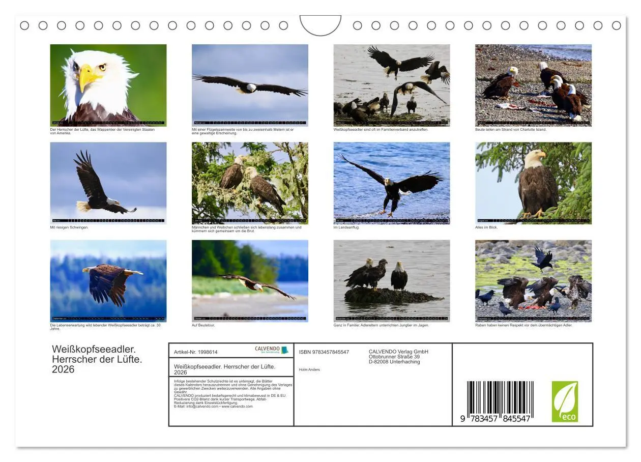 Bild: 9783457845547 | Weißkopfseeadler. Herrscher der Lüfte. 2026 (Wandkalender 2026 DIN...