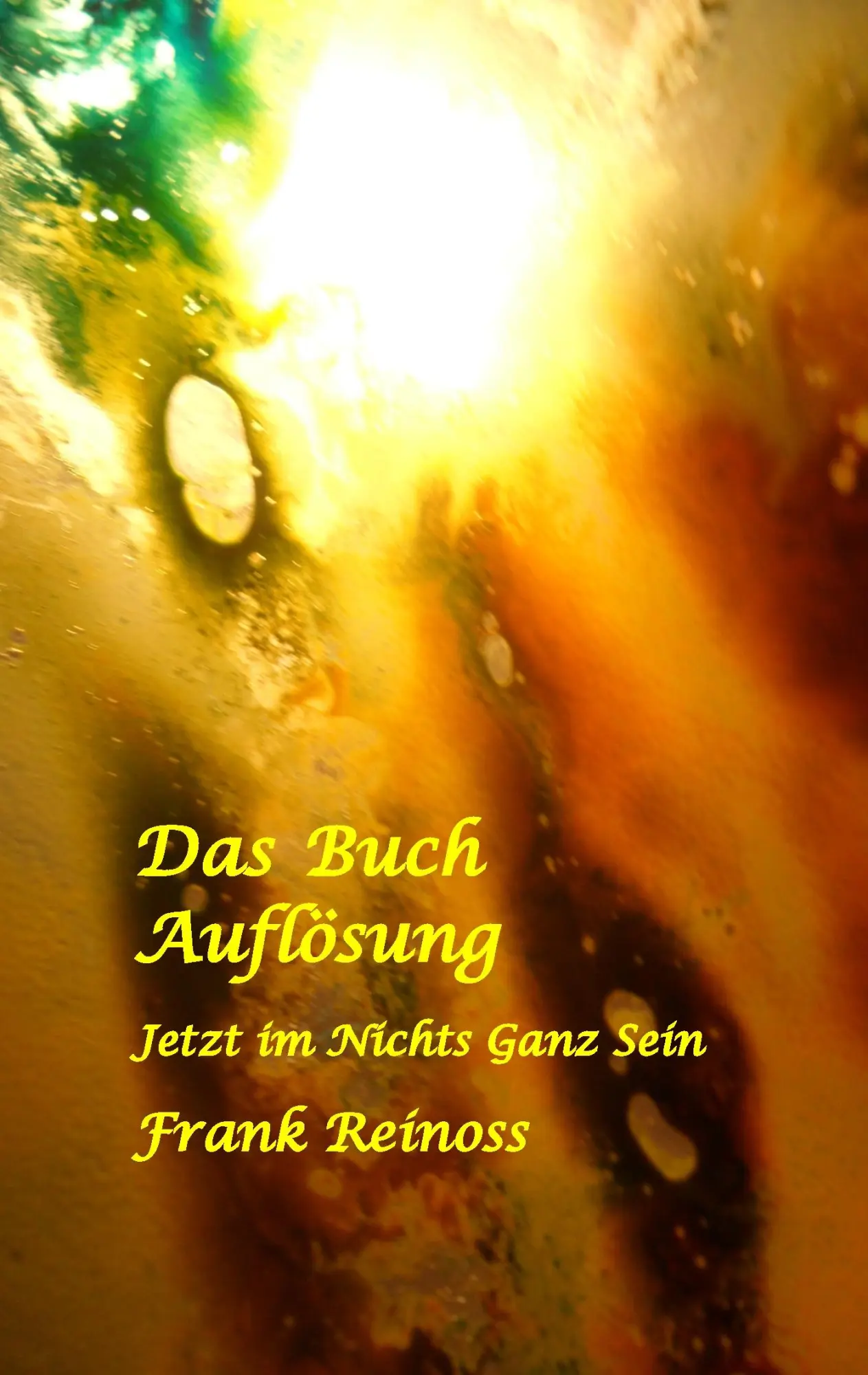 Cover: 9783848205547 | Das Buch Auflösung | Jetzt im Nichts Ganz Sein | Frank Reinoss | Buch