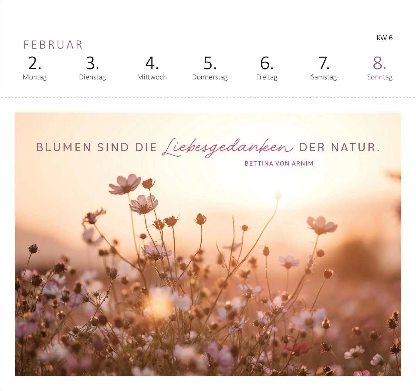 Bild: 4014489135647 | Postkartenkalender 365 Tage Sonne im Herzen 2026 | Kalender | 108 S.