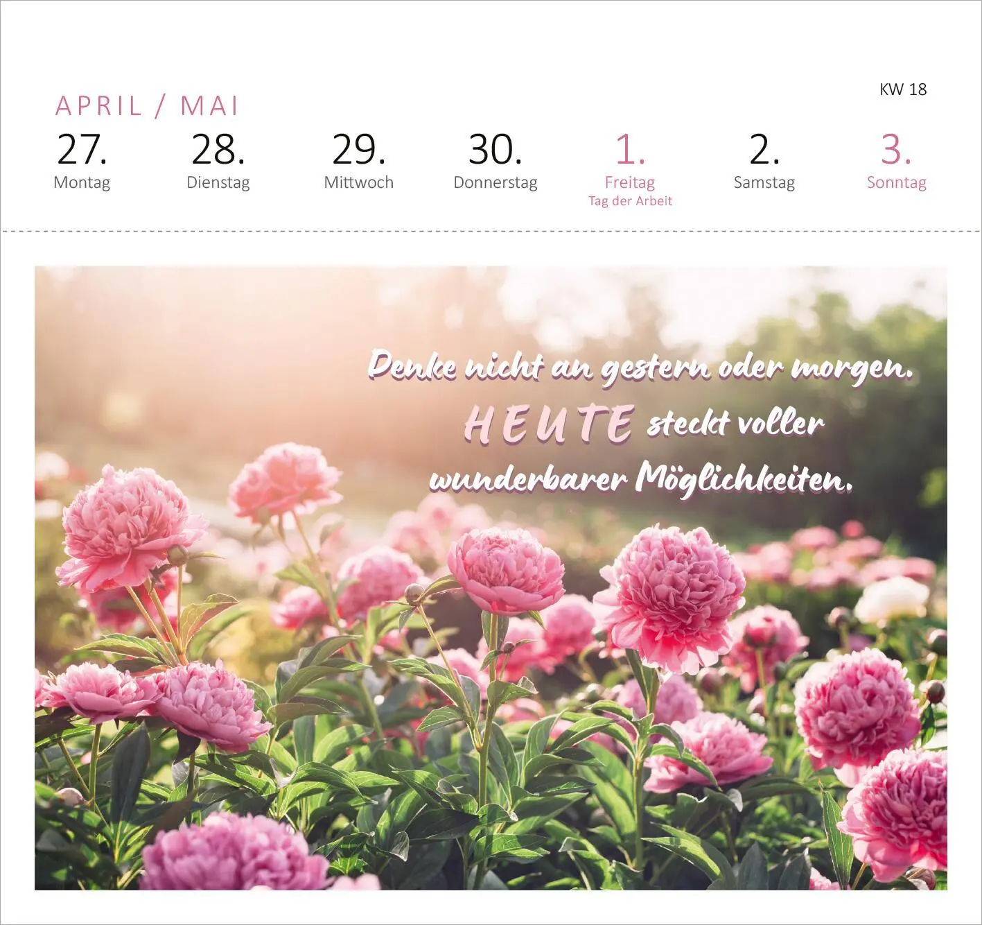 Bild: 4014489135647 | Postkartenkalender 365 Tage Sonne im Herzen 2026 | Kalender | 108 S.
