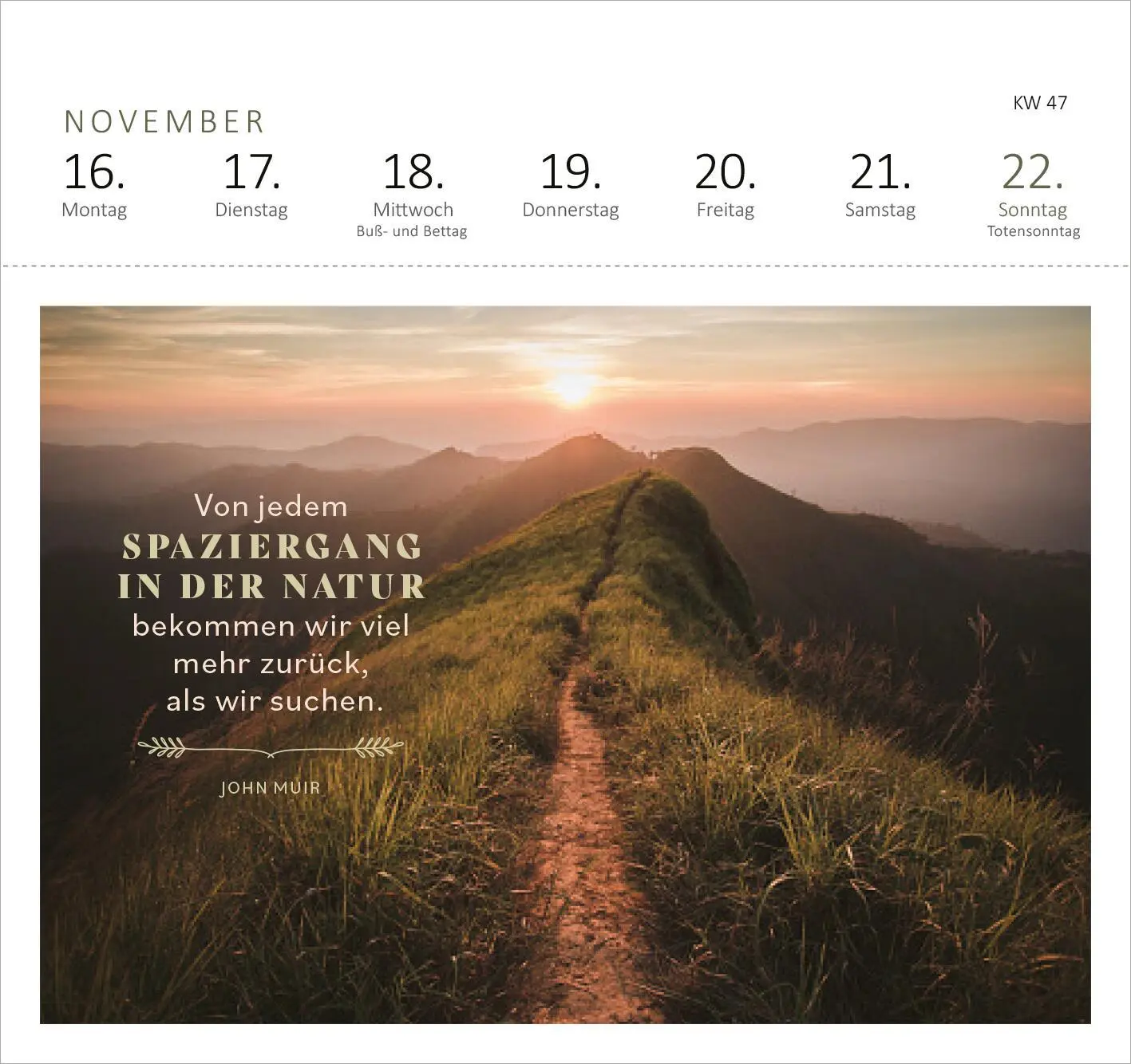 Bild: 4014489135647 | Postkartenkalender 365 Tage Sonne im Herzen 2026 | Kalender | 108 S.