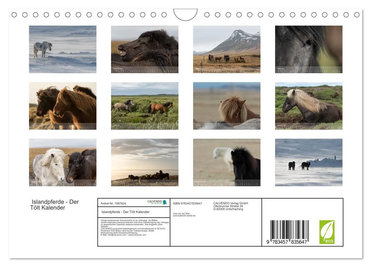 Bild: 9783457835647 | Islandpferde - Der Tölt Kalender (Wandkalender 2026 DIN A4 quer),...