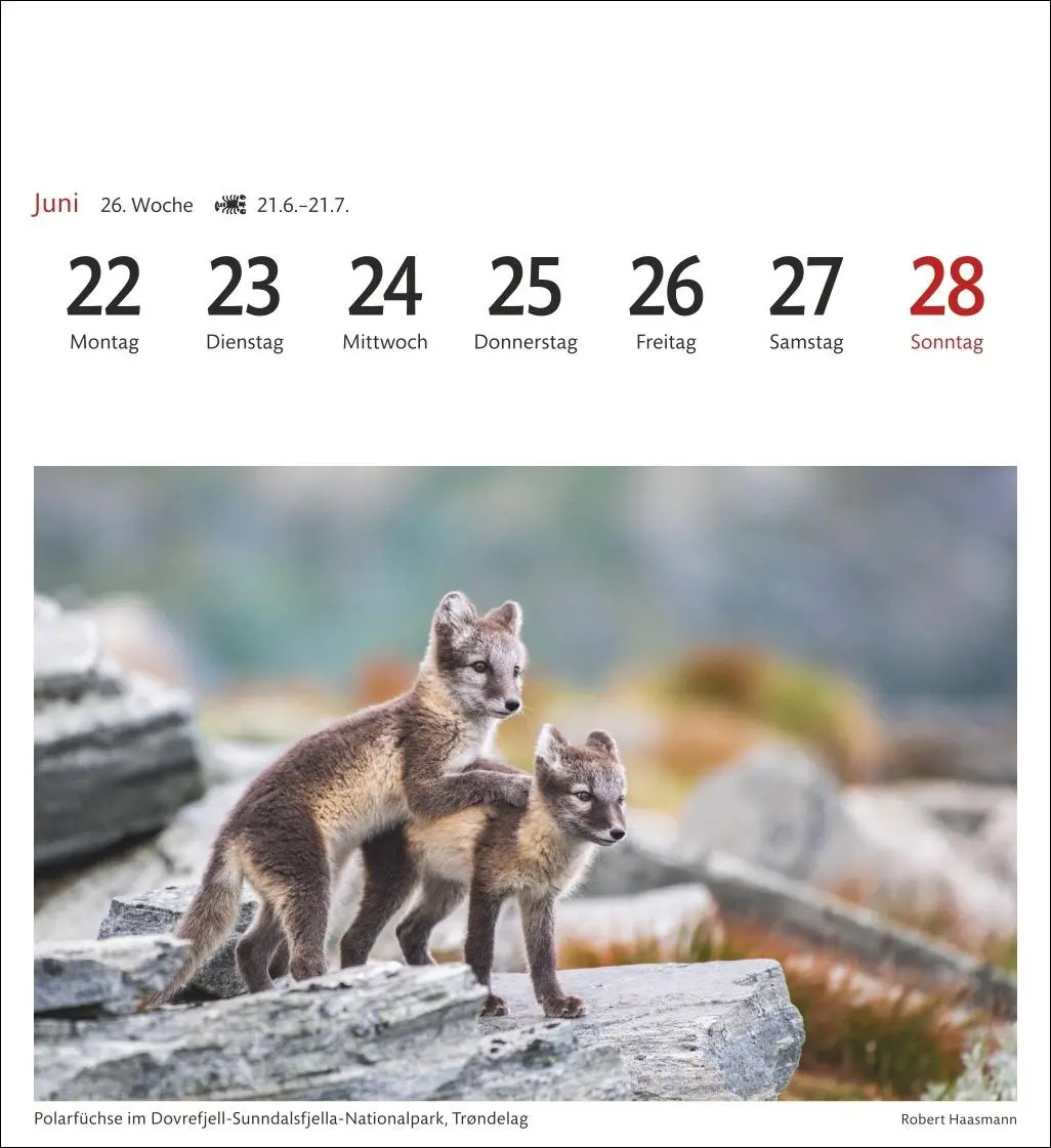 Bild: 9783840035647 | Norwegen Sehnsuchtskalender 2026 - Wochenkalender mit 53 Postkarten