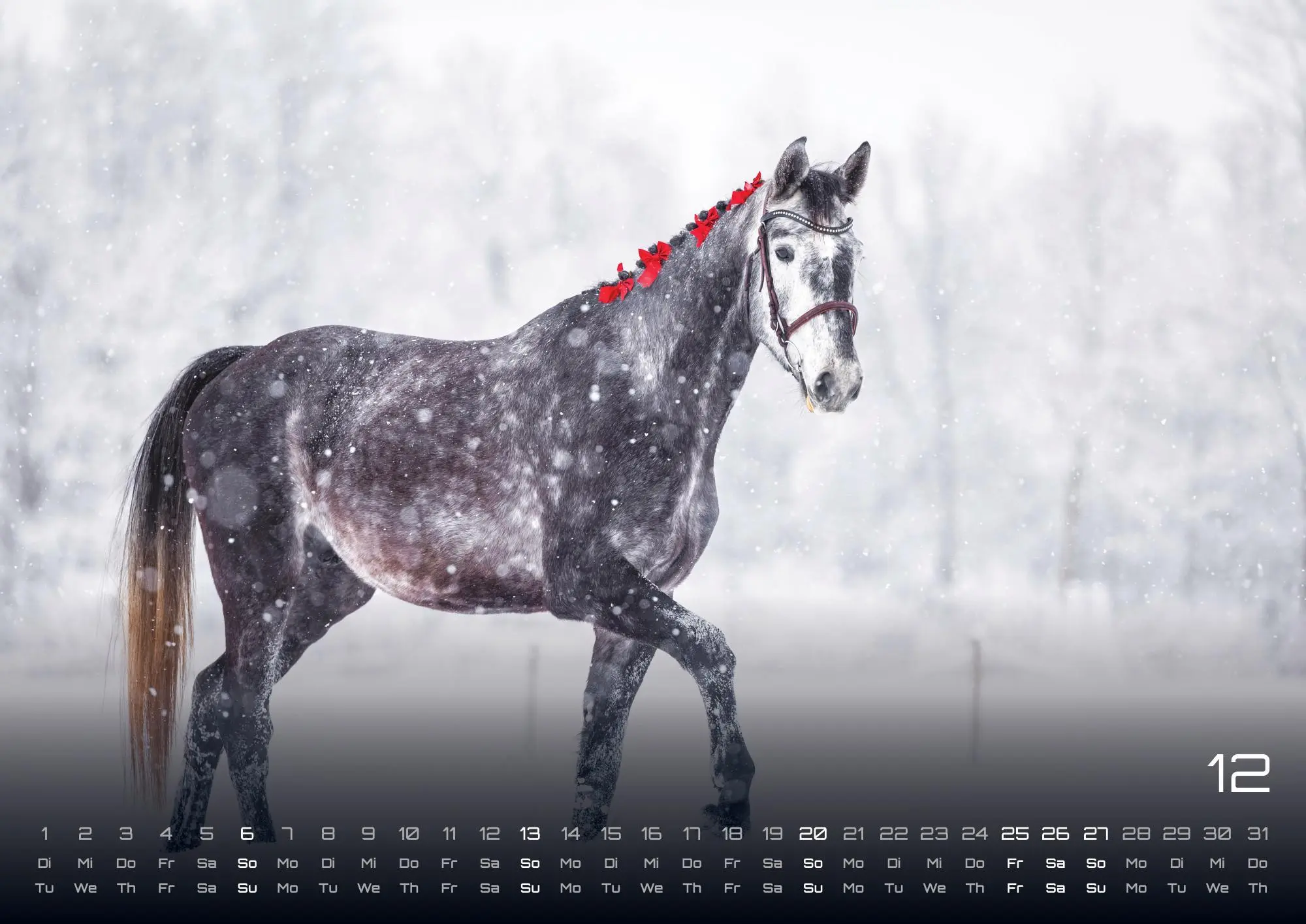 Bild: 9783986735647 | Pferdegeflüster - Der Pferdekalender - 2026 - Kalender DIN A2 | de