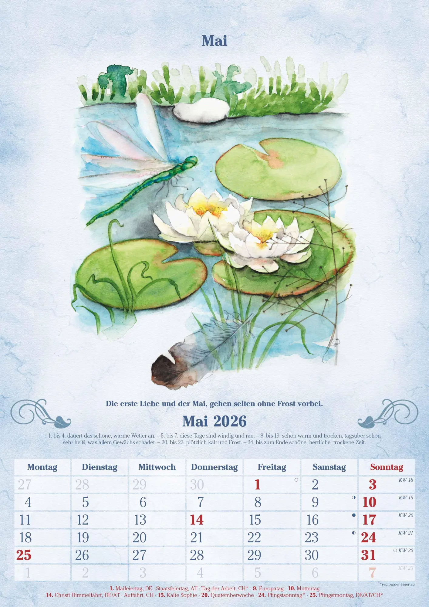 Bild: 4069095005747 | 100-jähriger Kalender 2026 - Bildkalender A3 (29,7x42 cm) - mit...