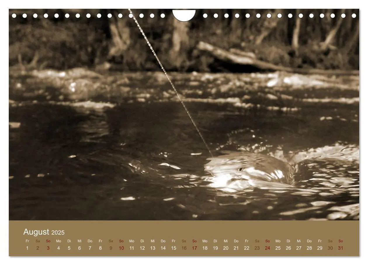 Bild: 9783435665747 | Fliegenfischen (Wandkalender 2025 DIN A4 quer), CALVENDO...