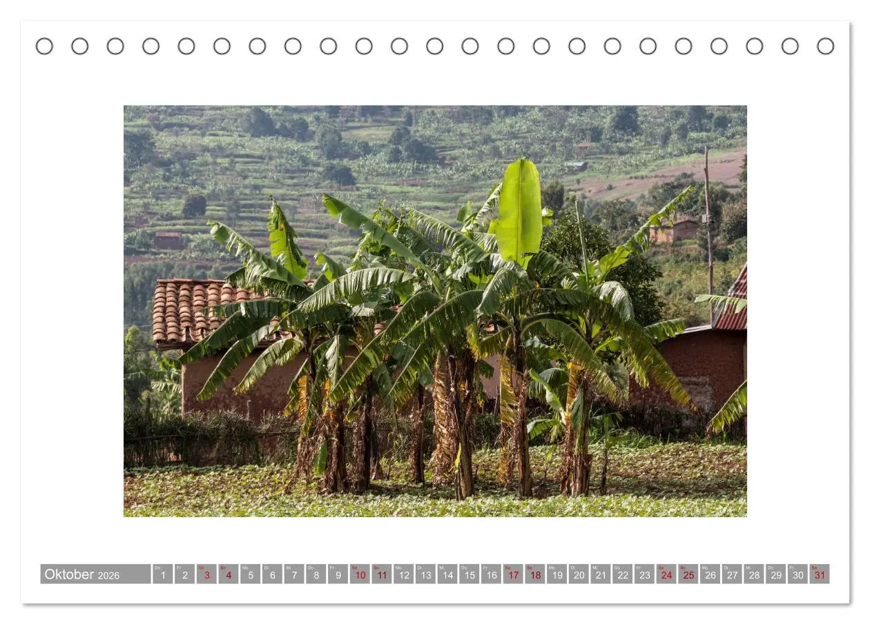 Bild: 9783457755747 | Ruanda (Tischkalender 2026 DIN A5 quer), CALVENDO Monatskalender